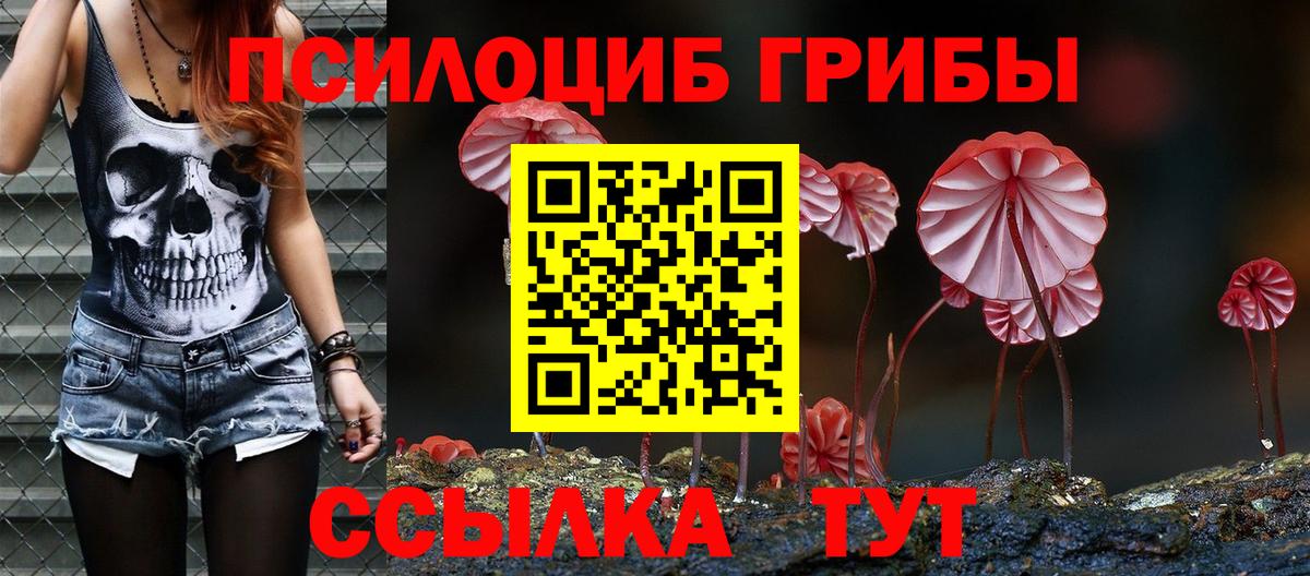 Псилоцибиновые грибы мухоморы Калининград