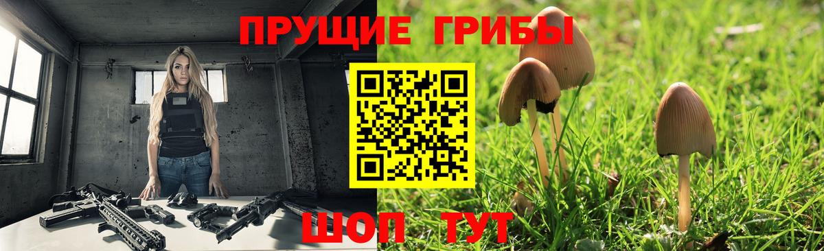 Галлюциногенные грибы Cubensis  Галлюциногенные грибы прущие грибы  Вход с VPN  Калининград 